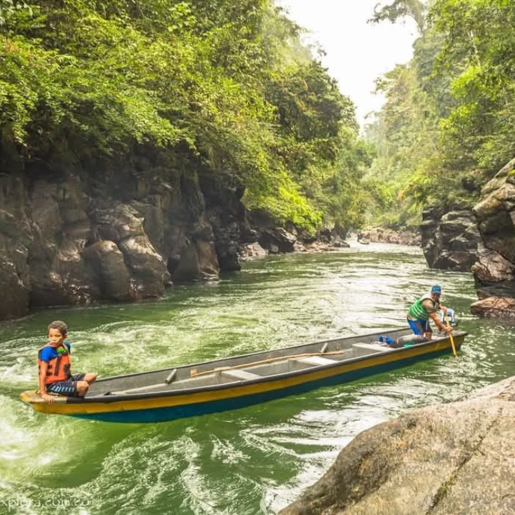 Diseño sin título (10)