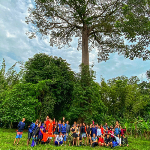 Diseño sin título (2)