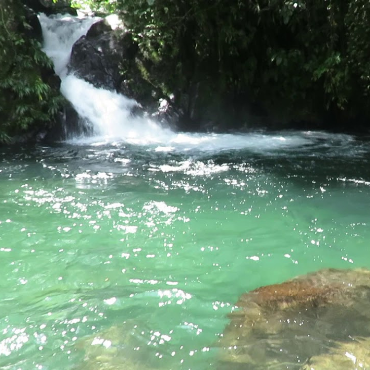 Diseño sin título (42)