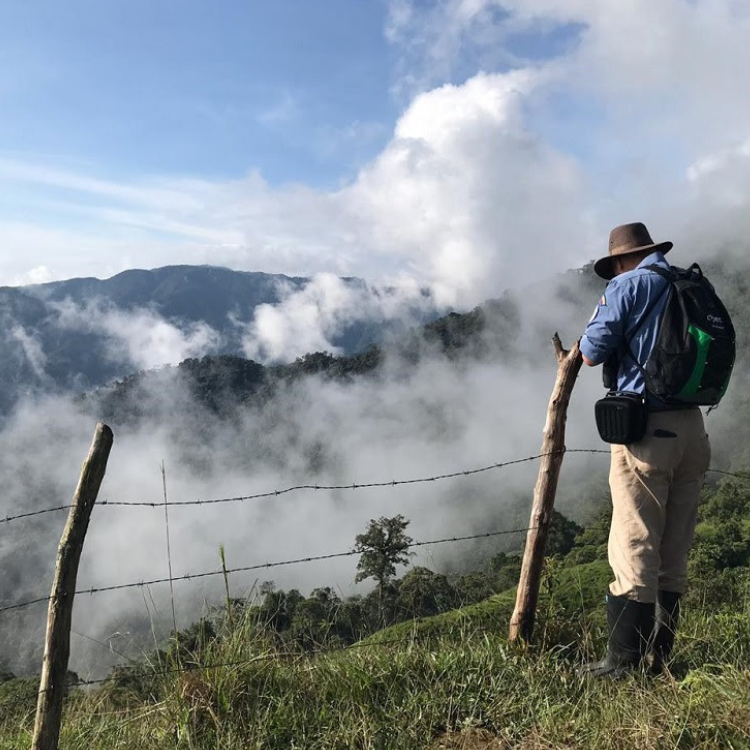 Diseño sin título (43)