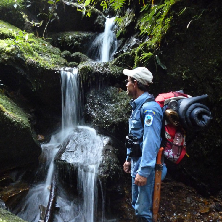 Diseño sin título (44)