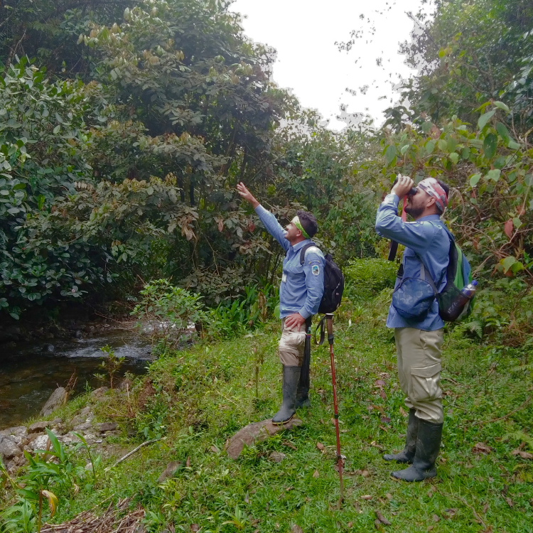 Diseño sin título (45)