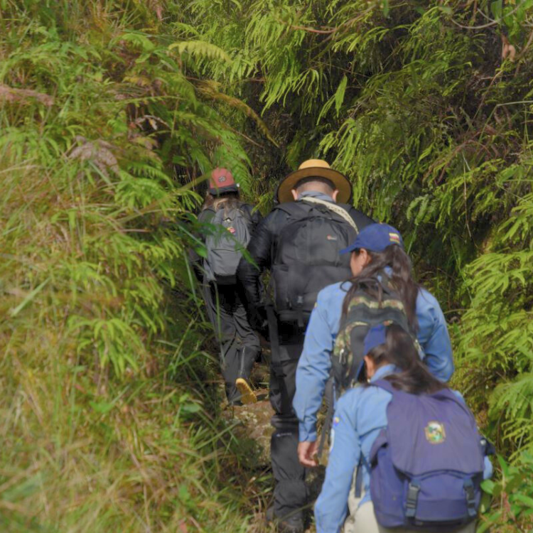 Diseño sin título (46)