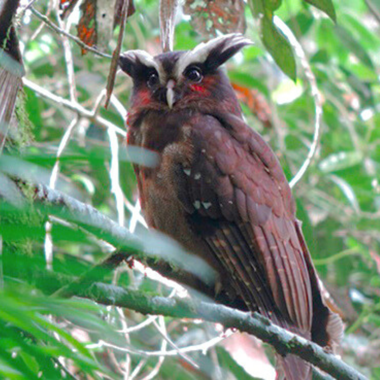 Diseño sin título (47)