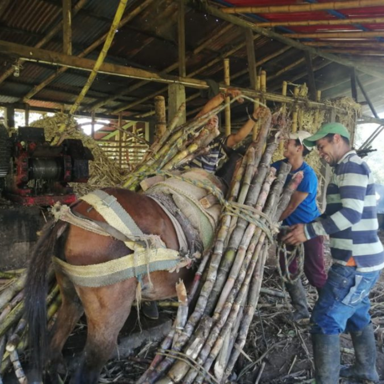 Diseño sin título (53)