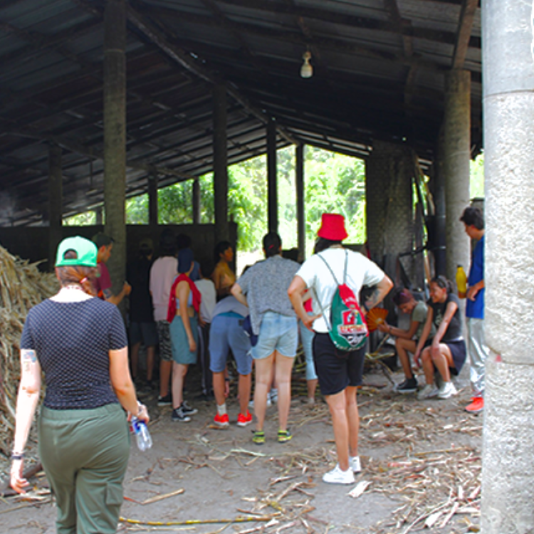 Diseño sin título (55)