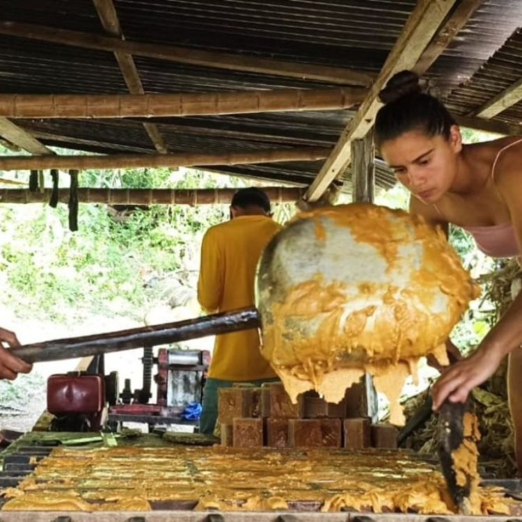 Diseño sin título (56)