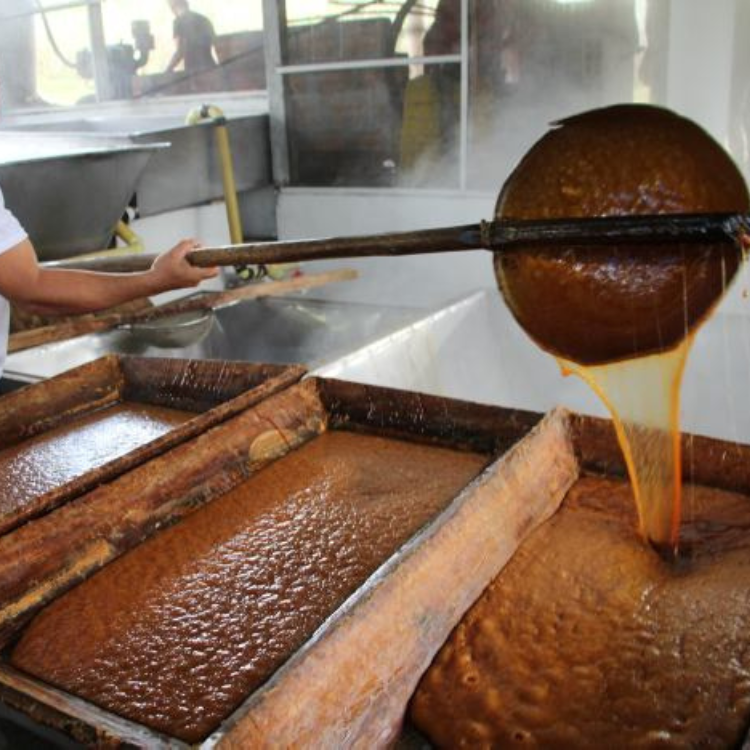 Diseño sin título (58)