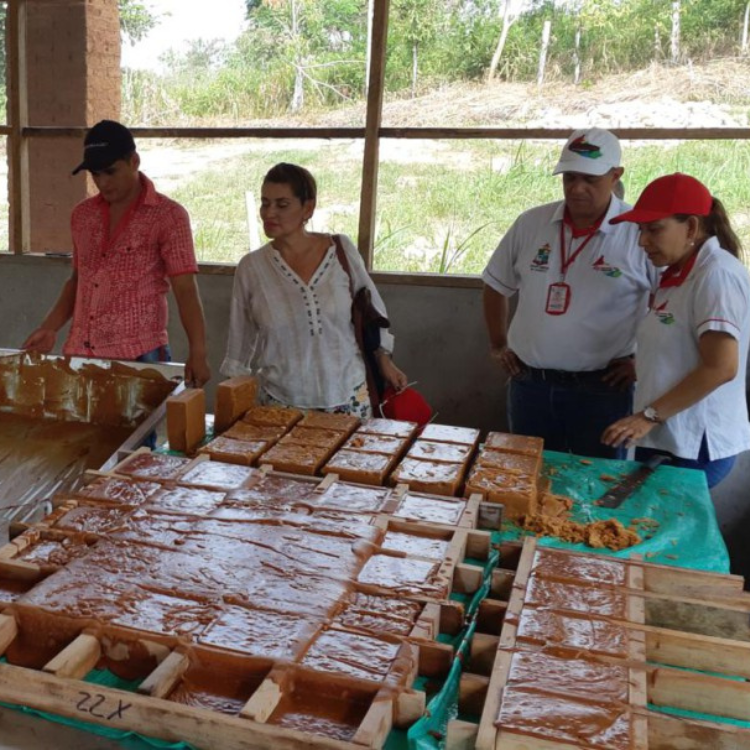 Diseño sin título (59)