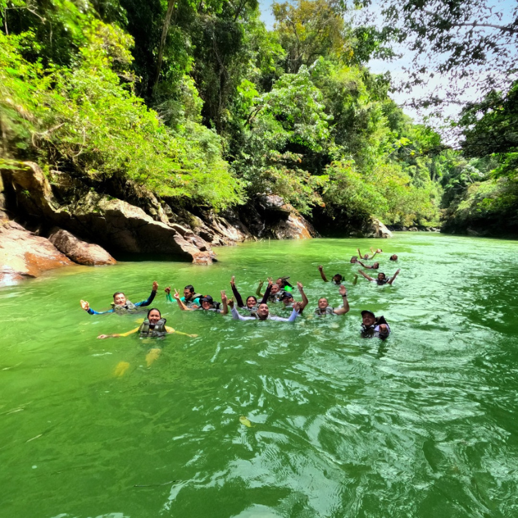 Diseño sin título (6)