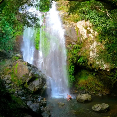 Diseño sin título (65)