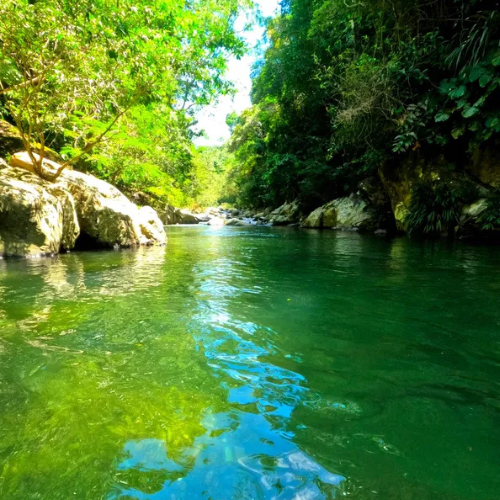 Diseño sin título (66)