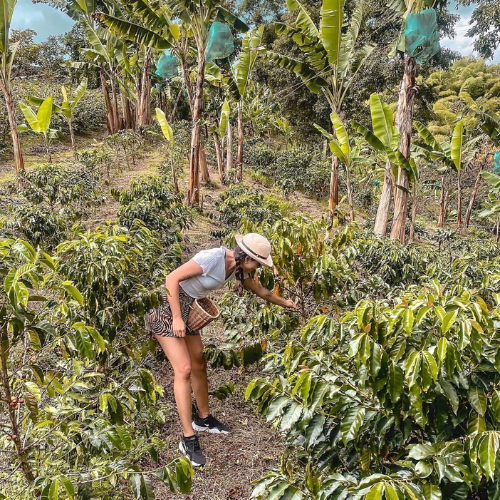 Diseño sin título (70)