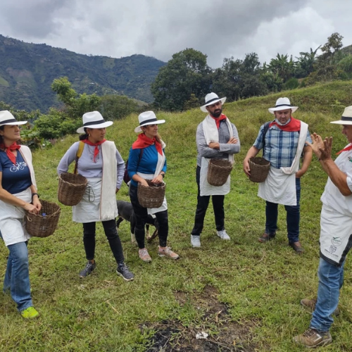 Diseño sin título (72)