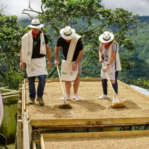 Diseño sin título (74)