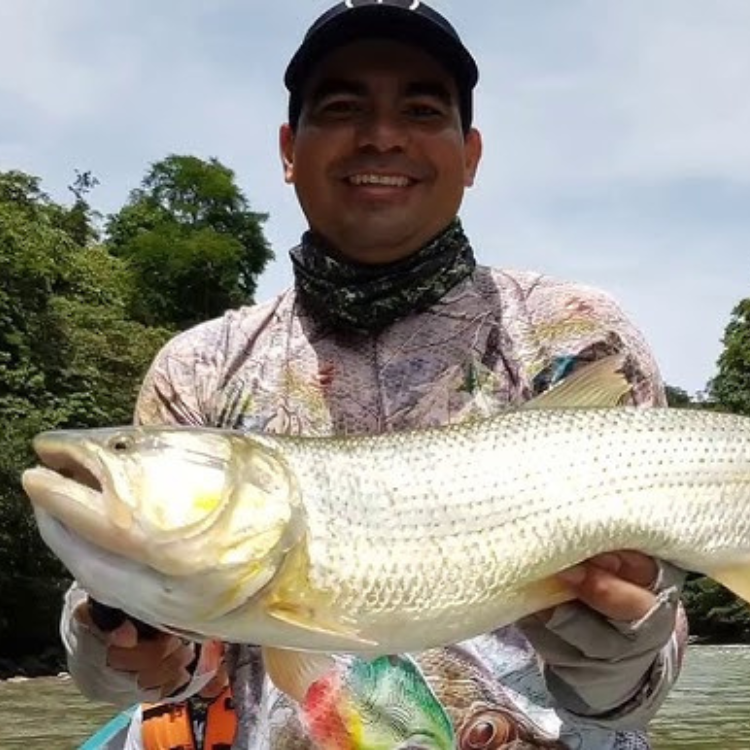 Diseño sin título (87)