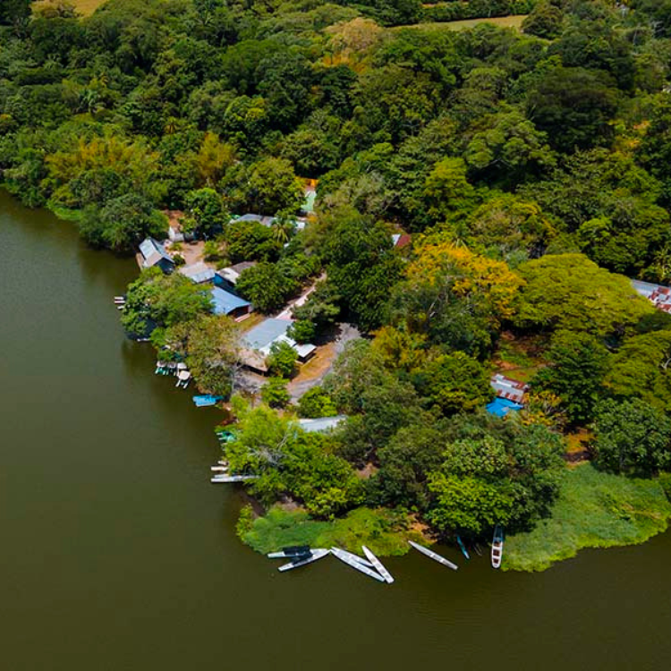 Diseño sin título (89)