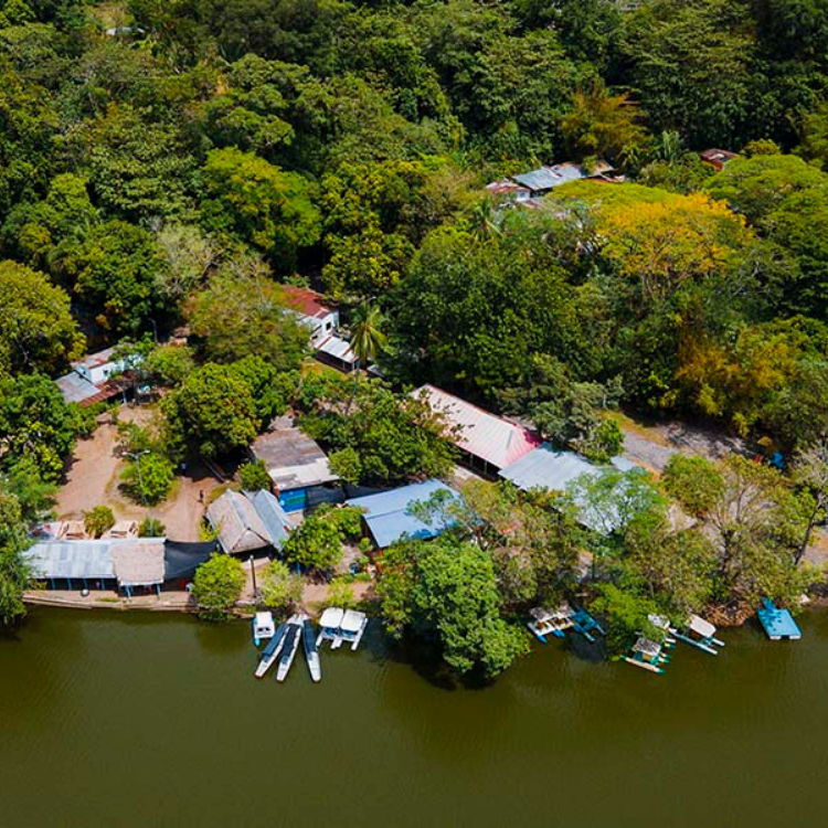 Diseño sin título (90)