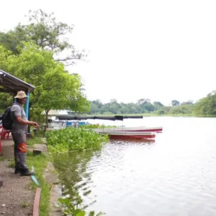 Diseño sin título (91)