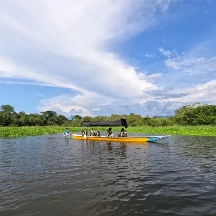 Diseño sin título (93)