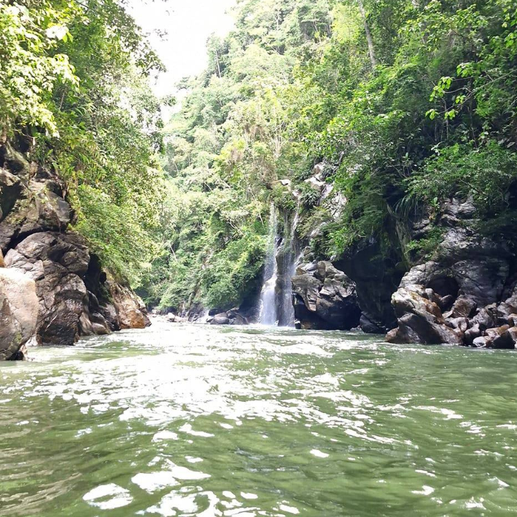 Diseño sin título (96)