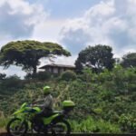 9aff4626-756c-429e-a1e1-6ab54d59b7da